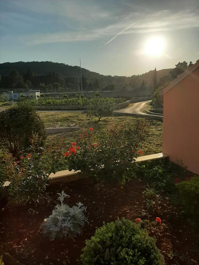 Apartment "Manna Zrnovo Exteriér fotografie